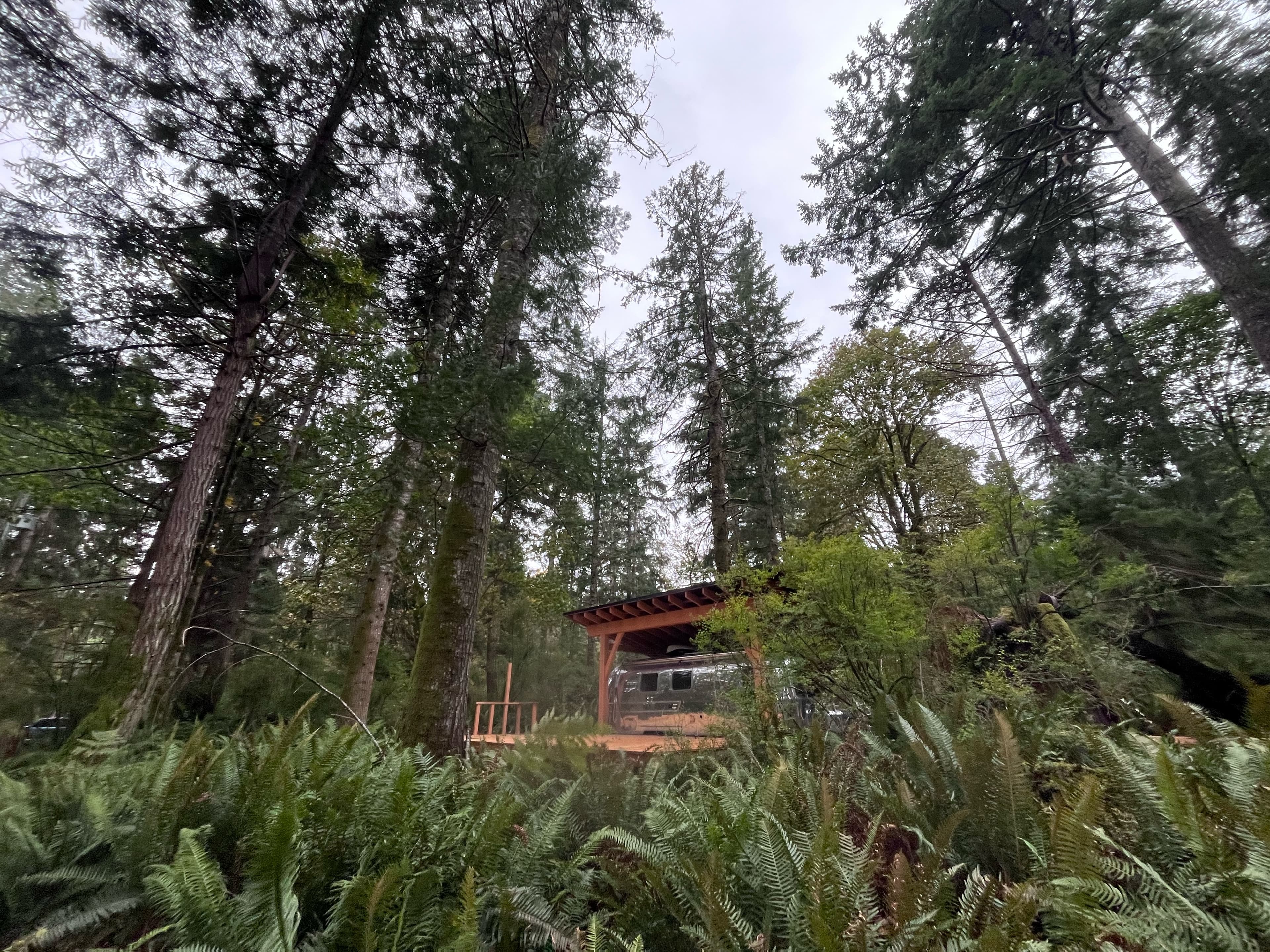 Custom timber frame project showing material warmth and geometry