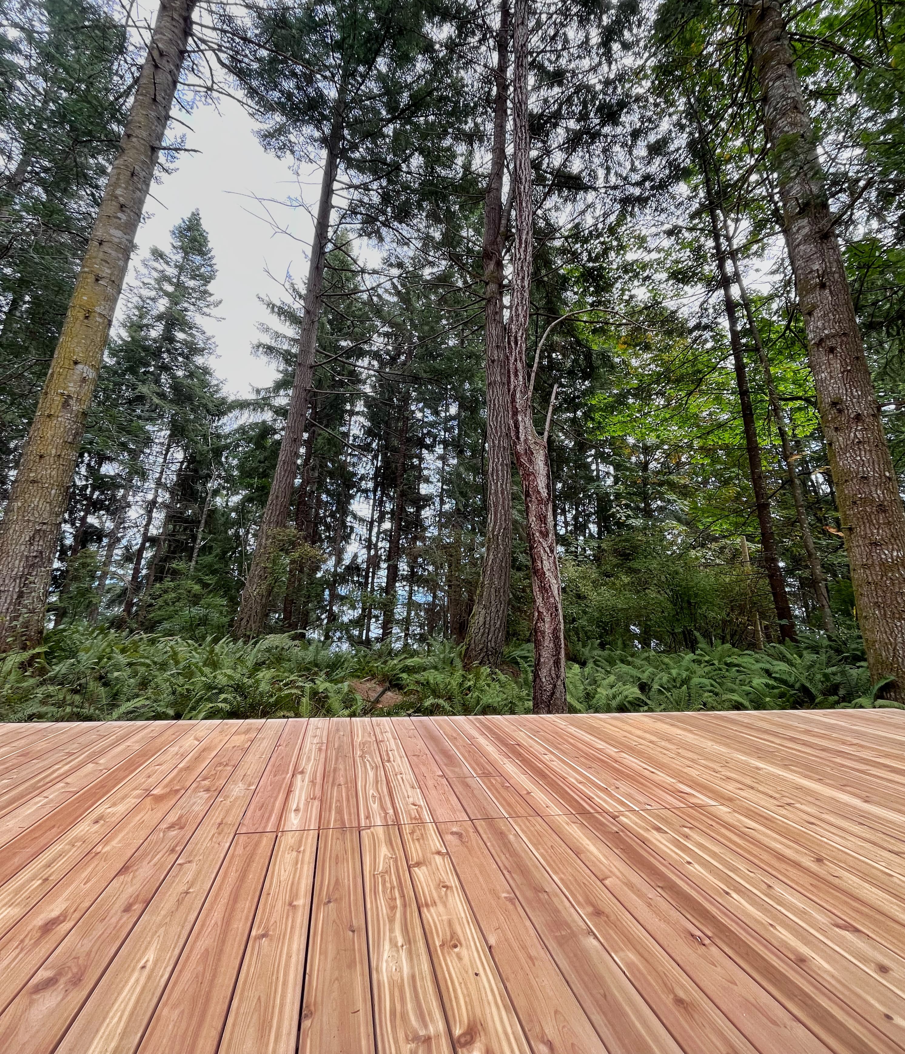 Interior timber framing with exposed beams