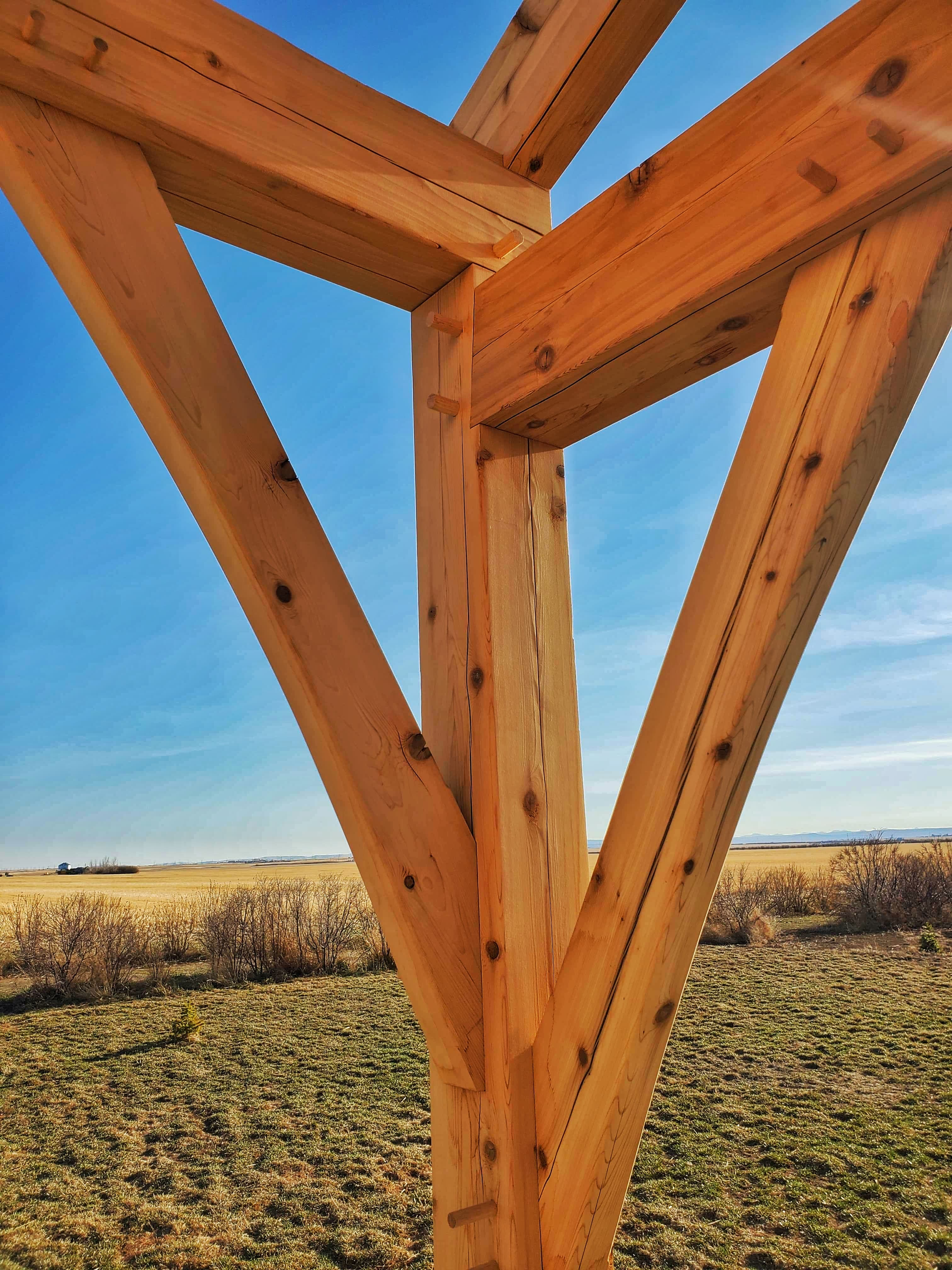 Timber frame in its natural island setting